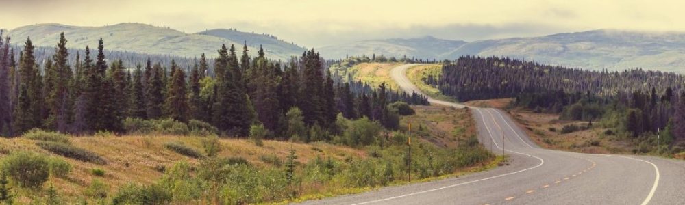 145-TM2.9-tandwielverhouding