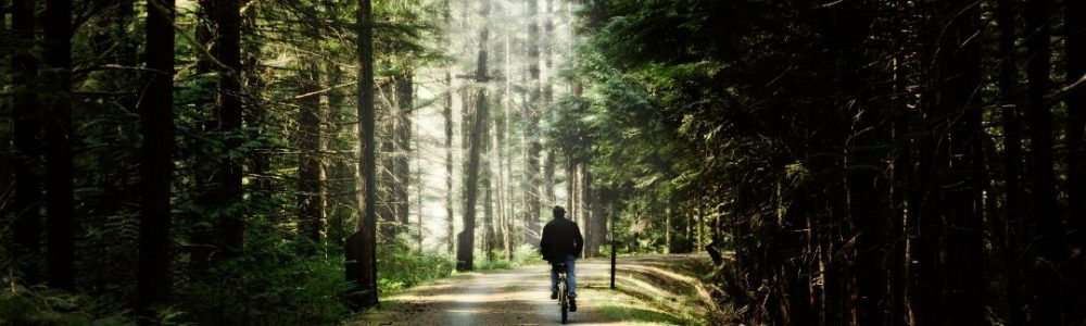 205-Trekking-lite-sturen