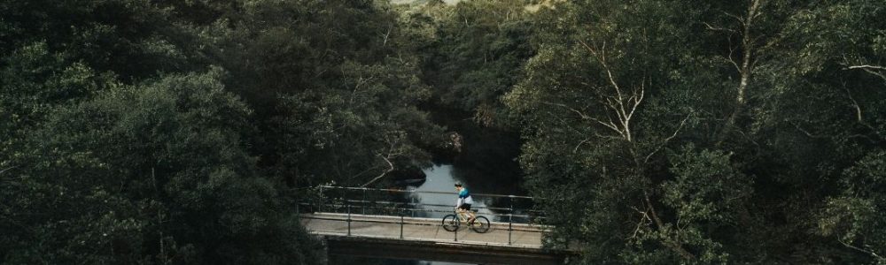 213-SUB-tandwielverhouding