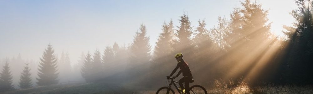 216-Cross-Lite-Tandwielverhouding