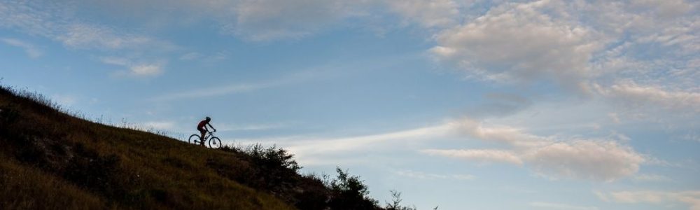 217-Gravelmaster-tandwielverhouding