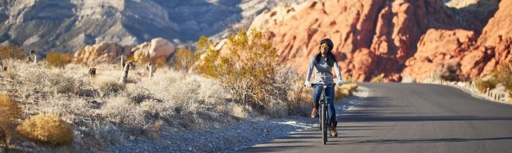 218-Travel-lite-tandwielverhouding