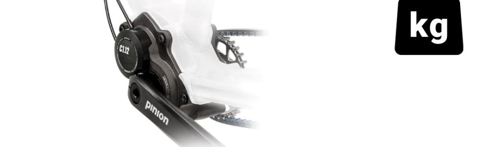 63-Pinion-bak-gewicht