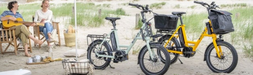 94-Geveerde-zadelpen-gewicht